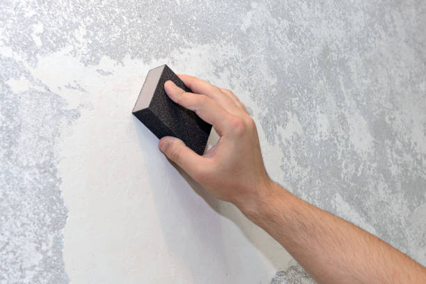 Best Real Estate Mold Inspection  in Kula, HI