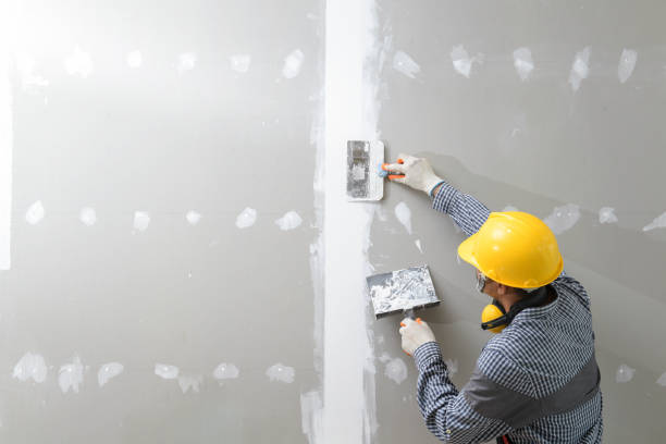 Best Black Mold Removal  in Kula, HI