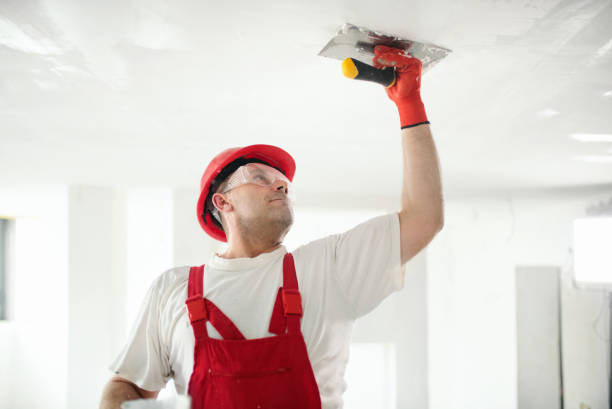 Best Crawl Space Mold Remediation  in Kula, HI