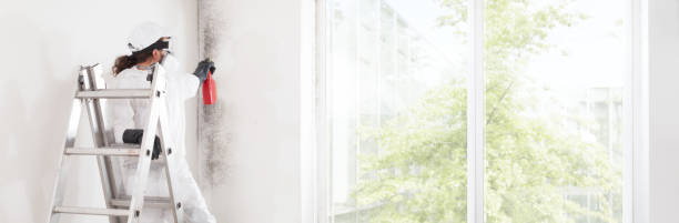 Best Dehumidification Services  in Kula, HI