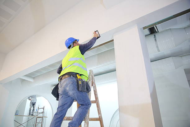 Best Water Damage & Mold Remediation  in Kula, HI