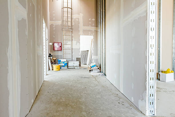 Best HVAC Mold Inspection and Cleaning  in Kula, HI