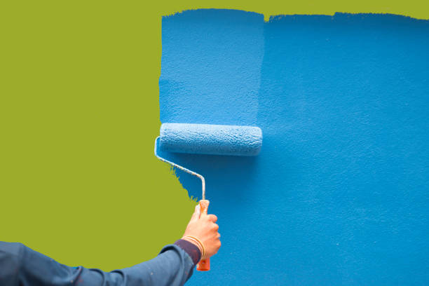 Best Mold Odor Removal Services  in Kula, HI